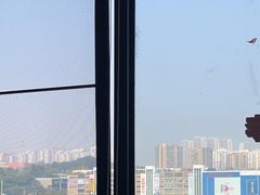 -李子坝梁山鸡(李子坝大鸡哥店)