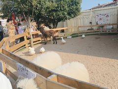 -HERRE·FARM 赫尔露营农场·团建聚会包场