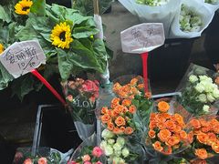 -循礼门鲜花花市(武汉循礼门店)