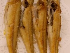 -御唐府海珊瑚主题餐厅