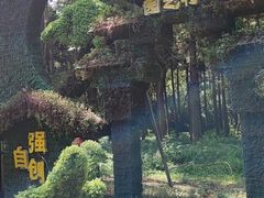 -东平国家森林公园