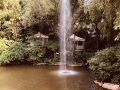 -大鹅岛绿色生态美食园
