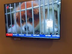 -康逸居·始于2002(海安店)