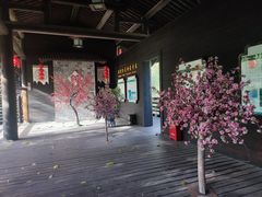 -大唐贡茶院