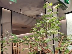-绿茶餐厅(北京世纪金源店)