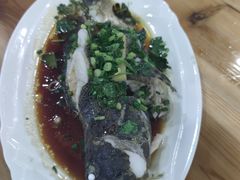 清蒸石斑鱼一条-冯姐生蚝(迎宾广场店)