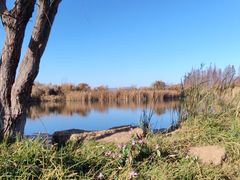 -呈贡滇池生态湿地公园