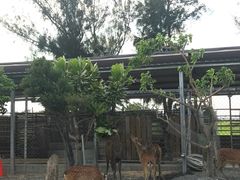 -鹿境梅花鹿生态园区