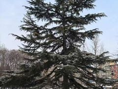 -元大都城垣遗址公园