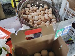 -马陆小张葡萄园农家乐