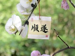 -上海鲜花港