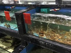 -渔傅·蓝海岸霞浦海鲜(正祥店)