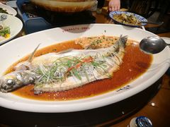 翘嘴鲌鱼-丹江渔村(望京店)