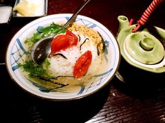 -松子料理(亮马桥店)
