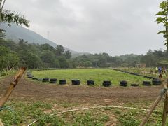 -牛鱼嘴原始生态风景区