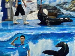 -左海海底世界