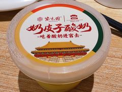 奶皮子酸奶-紫光园·烤鸭(美术馆店)
