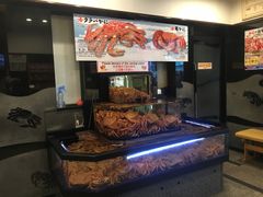 -蟹道乐(道顿堀本店)