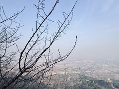 -北京鹫峰国家森林公园