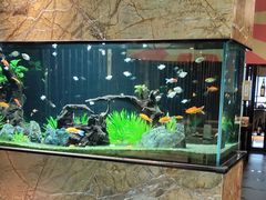 -松临·铁板烧&Omakase(神农店)