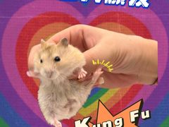 -龙猫仔乐园(惠福东路店)