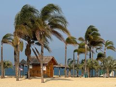 -月亮湾湿地公园