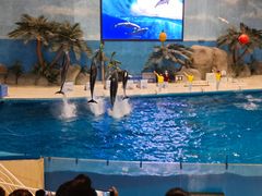 -泉城欧乐堡海洋极地世界