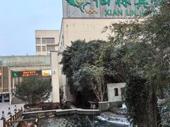-仙林宾馆-餐厅