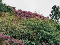 -广东天露山旅游度假区