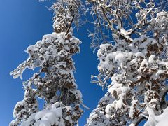 -庙香山滑雪场