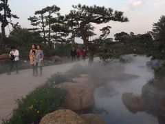 -罗红摄影艺术馆