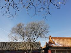 -大召无量寺