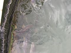 -海上驿站渔家菜馆