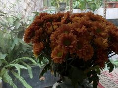 -绿房子方寸咖啡(星海名城店)