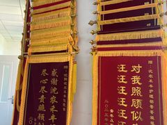 -派美特宠物医院·核磁CT·骨科肿瘤·疑难转诊(沈农禾丰店)