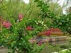 园内环境-元大都城垣遗址公园