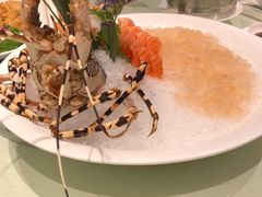 -金苑海鲜酒家(来魅力店)