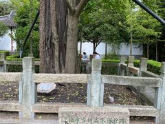 -上海佘山国家森林公园天马山园