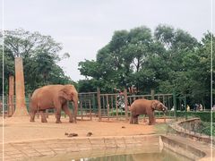 -昆明动物园