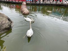 -海合安武汉极地海洋公园