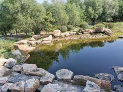 -莫子山公园