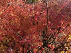 -爱电竞酒店(苏州石路地铁站山塘街店)