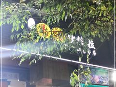 -山丹马记炒拨拉(南关店)