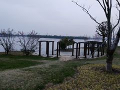 -漕湖湿地公园