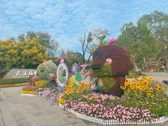 -云溪植物园