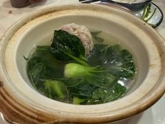 -丁老爷子苏香圆