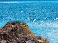 -丽江泸沽湖景区