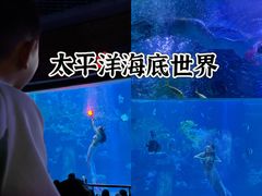 -太平洋海底世界