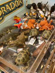 -kidsland(领展购物广场·京通店)
