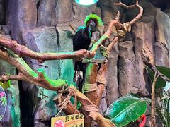 -正佳雨林生态植物园